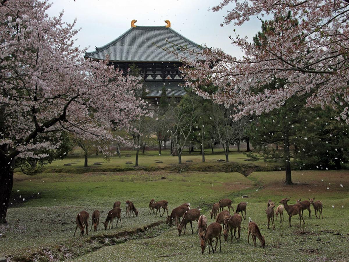 Hotel Raizan North Ōsaka Exterior foto